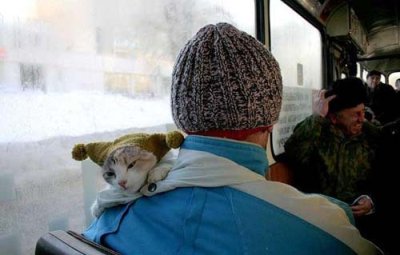 метель в Нижнем Новгороде, пробки на дорогах, городс тоит в пробках