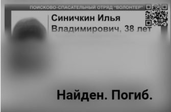 В Лукоянове раскрыто убийство пропавшего Ильи Синичкина