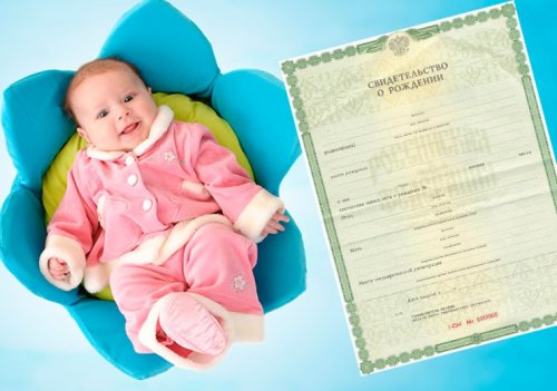 Житель Подмосковья получил за 11 месяцев 13 свидетельств о рождении детей, которых не было