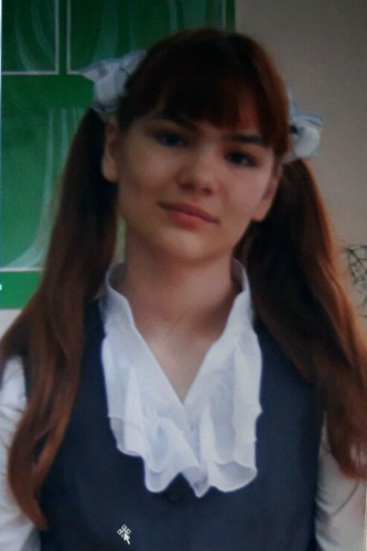 в Н.Новгороде пропала 12-летняя девочка