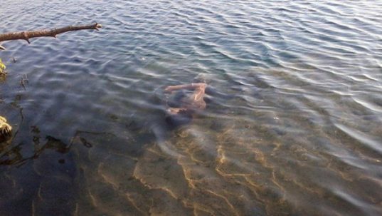озеро Пермяковское. утонул мужчина, 2 июля