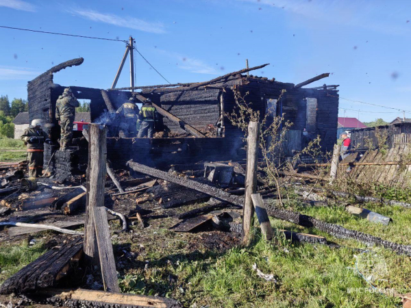 Двое взрослых и ребенок погибли на пожаре под Выксой